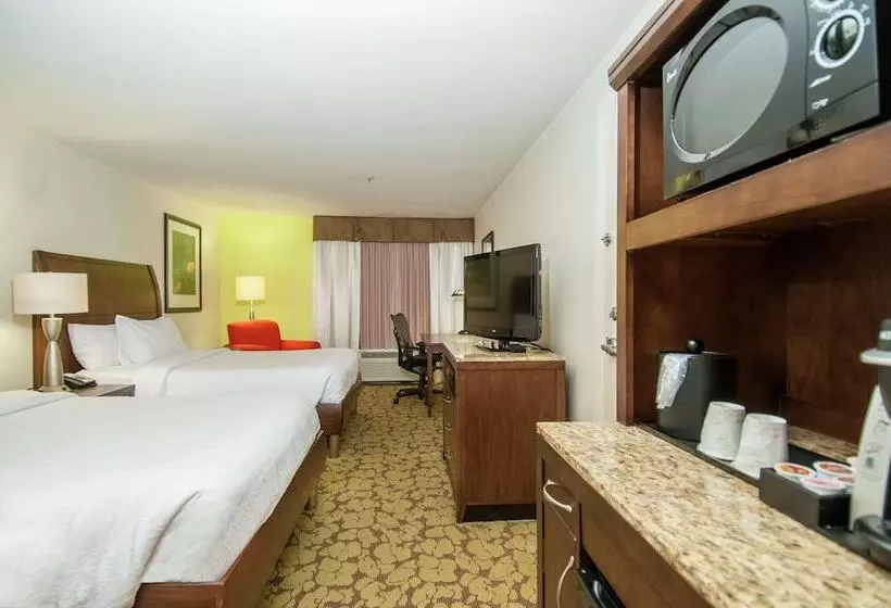 اتاق استاندارد با 2 تخت دوبل, Wyndham Garden New Orleans Airport