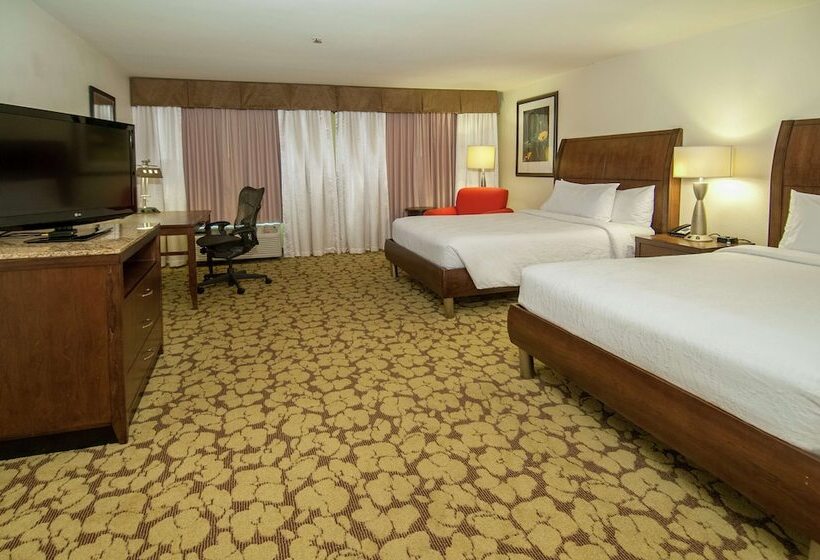 带2个双人床的标准工作室, Wyndham Garden New Orleans Airport