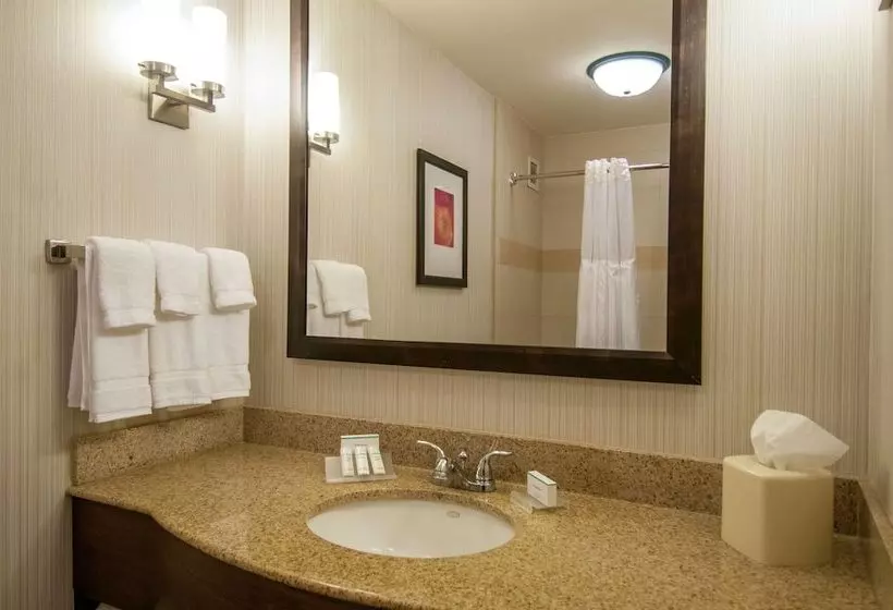 اتاق استاندارد, Wyndham Garden New Orleans Airport
