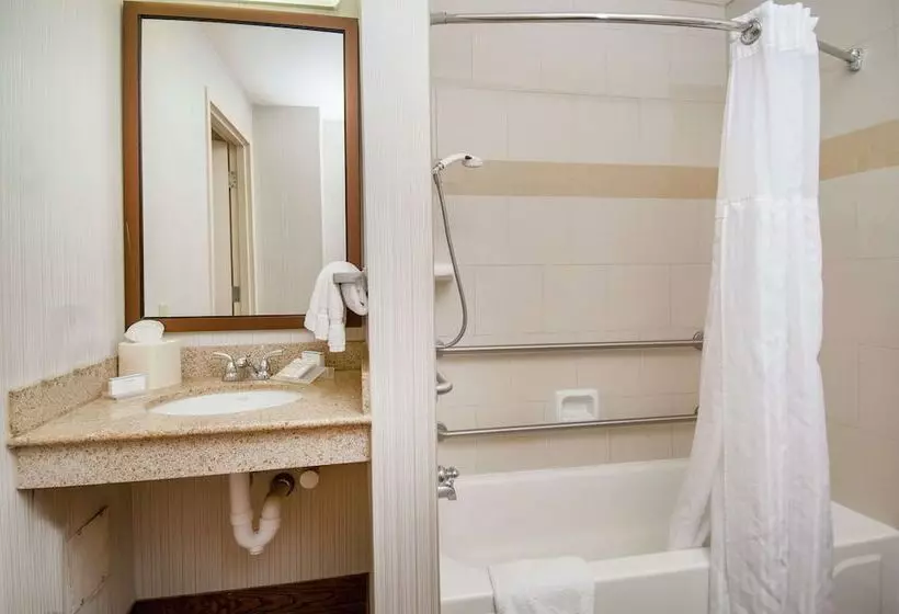 اتاق استاندارد, Wyndham Garden New Orleans Airport