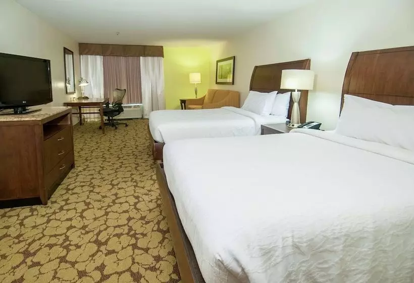 اتاق استاندارد, Wyndham Garden New Orleans Airport