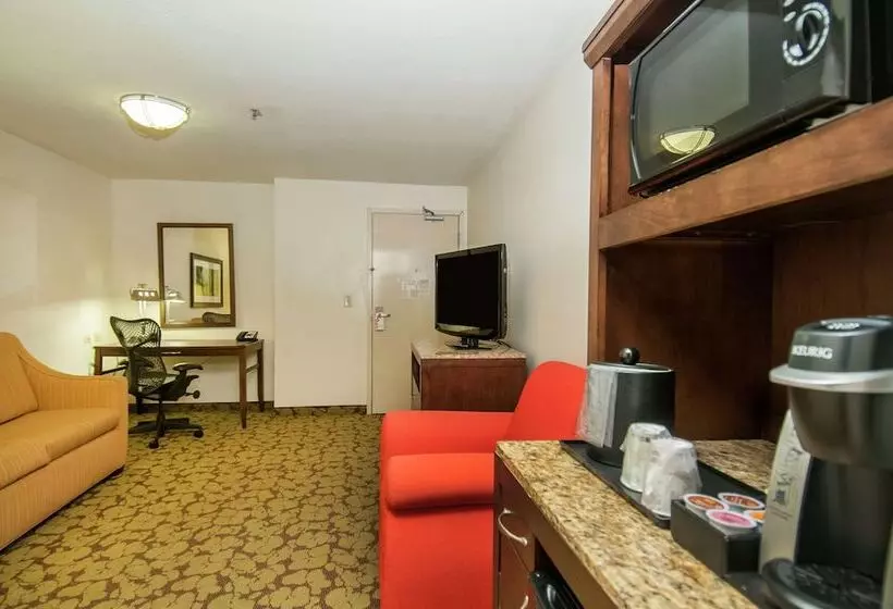 سوییت جونیور, Wyndham Garden New Orleans Airport
