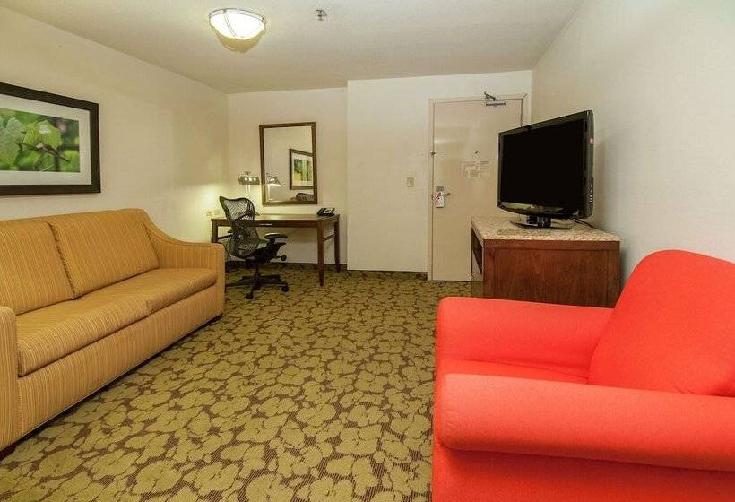 جناح جونيور, Wyndham Garden New Orleans Airport