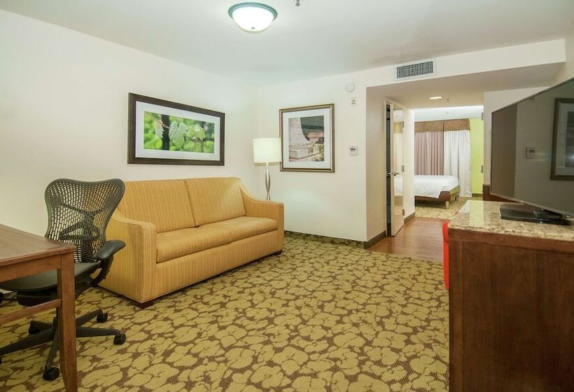 جناح جونيور, Wyndham Garden New Orleans Airport