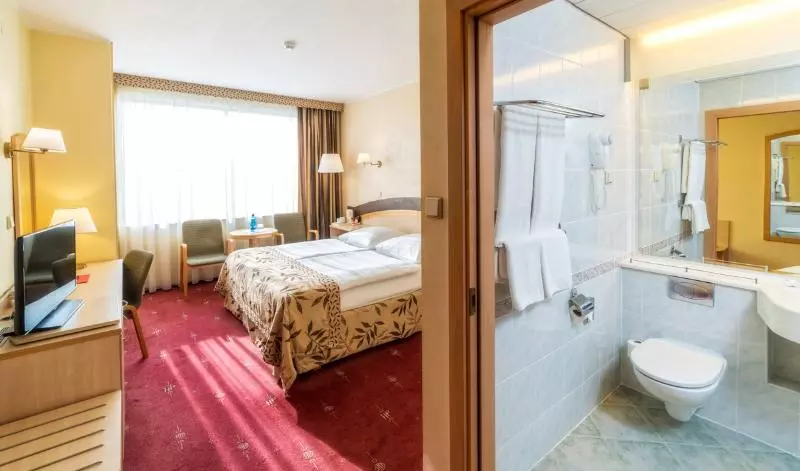 اتاق استاندارد با چشم‌انداز رودخانه, Hp Park Plaza