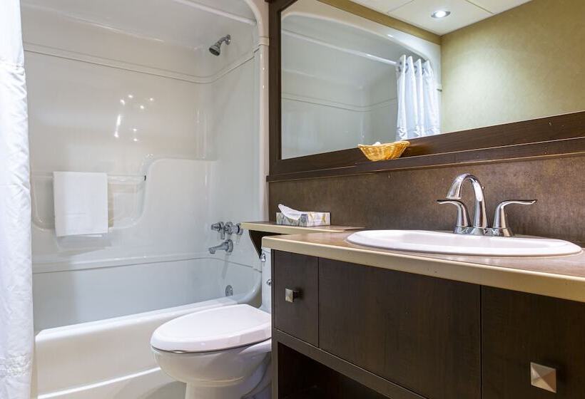 스탠다드 룸 더블 침대 2개, L'oiseliere Montmagny