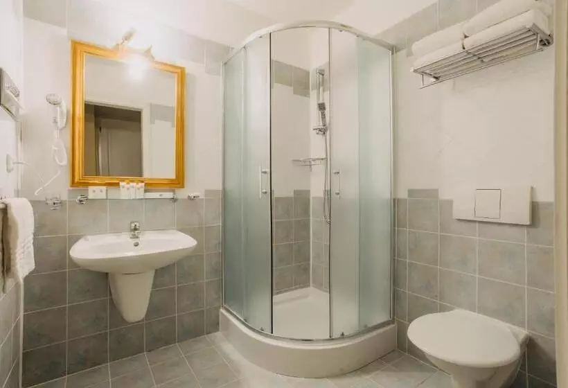 اتاق استاندارد یک نفره, Louis Leger   Czech Leading Hotels