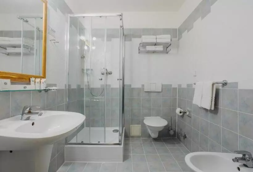 اتاق خانوادگی, Louis Leger   Czech Leading Hotels