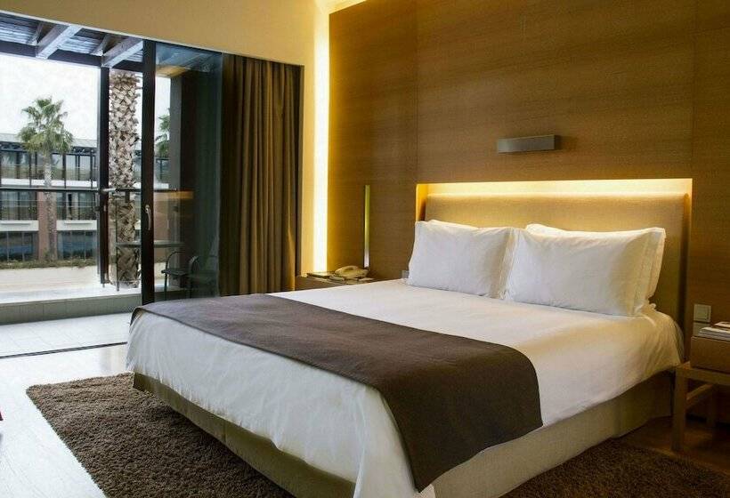 غرفة ديلوكس مطلة على حمام السباحة, Nikopolis