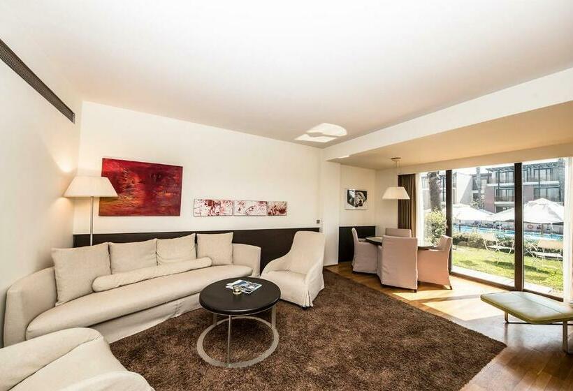 جناح إدارى, Nikopolis