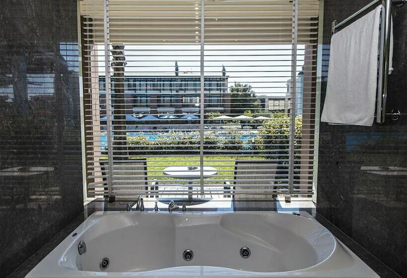 جناح إدارى, Nikopolis