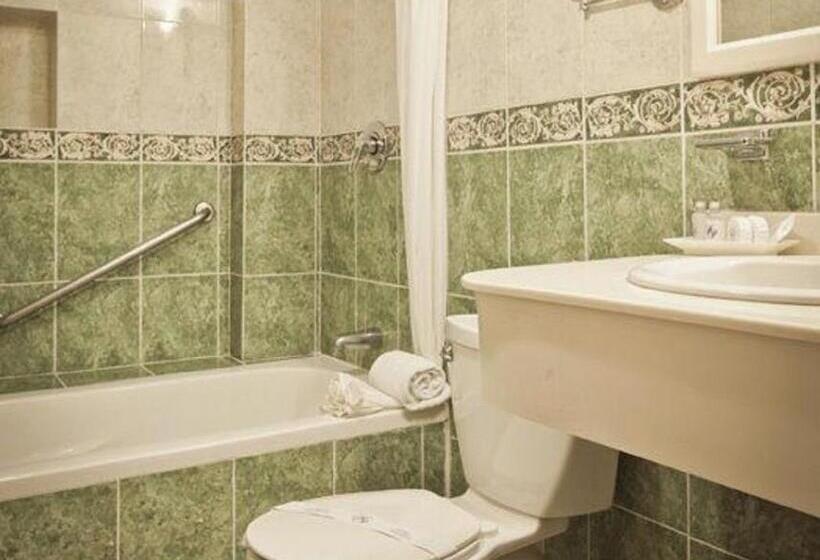 اتاق استاندارد, Plaza Colonial