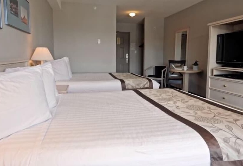 Standard Szoba, Quarterdeck Inn Port Hardy