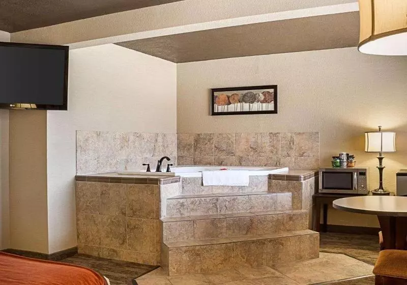 اتاق استاندارد با تخت بزرگ, Marriott Quebec City Downtown