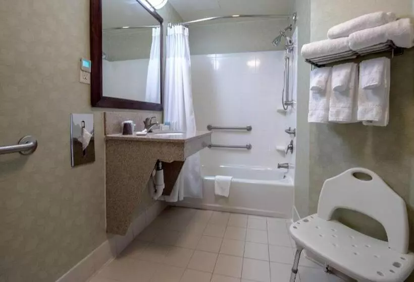 سوئیت با تخت بزرگ, Springhill Suites By Marriott Greensboro