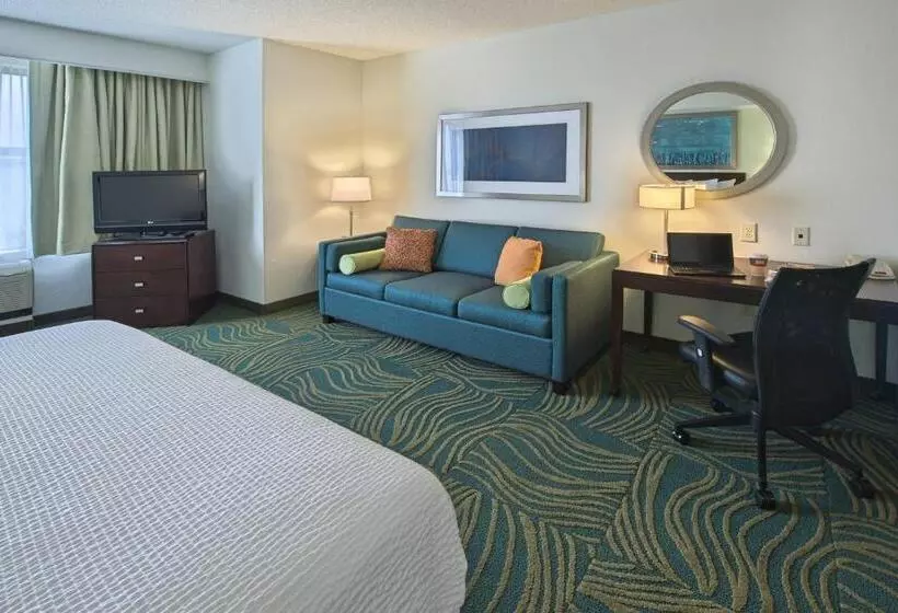 سوئیت با تخت بزرگ, Springhill Suites By Marriott Greensboro
