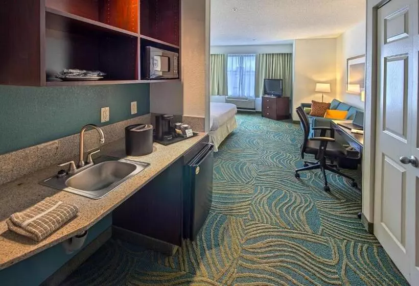 سوئیت با تخت بزرگ, Springhill Suites By Marriott Greensboro