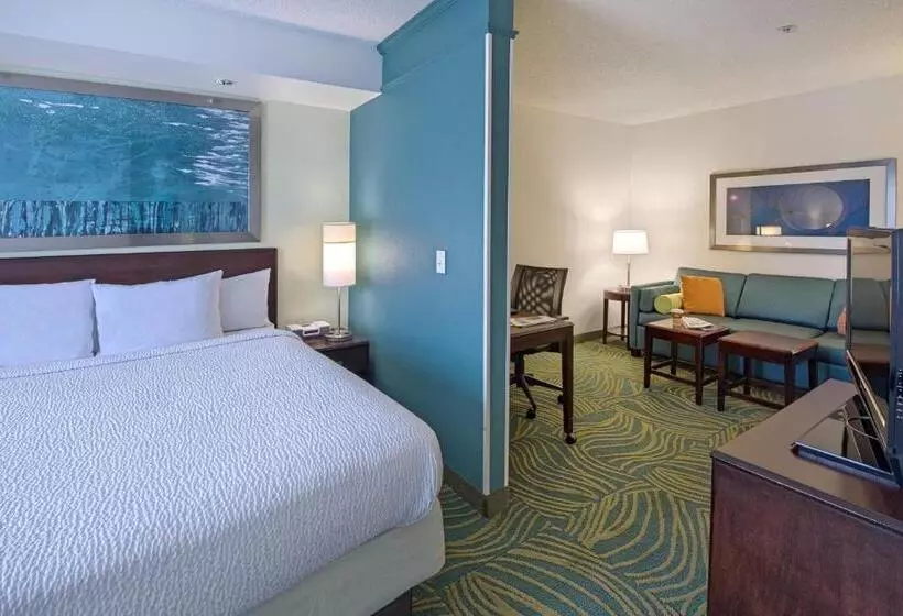 سوئیت با تخت بزرگ, Springhill Suites By Marriott Greensboro