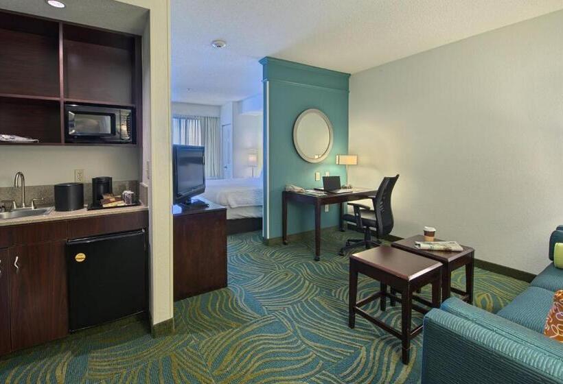 Люкс Кровать Кинг, Springhill Suites By Marriott Greensboro