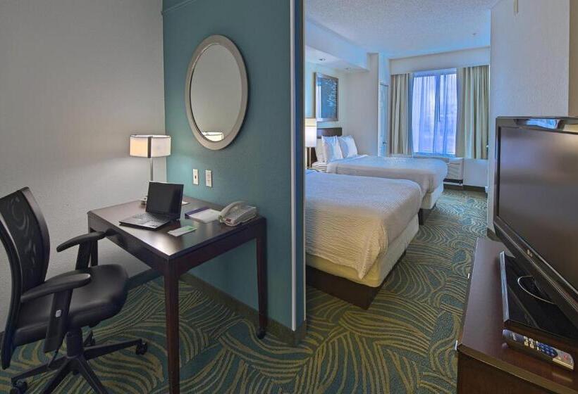 Люкс Адаптированный для Инвалидов, Springhill Suites By Marriott Greensboro