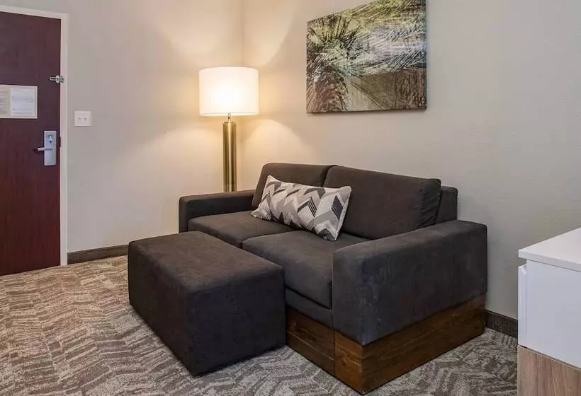 スイート, Springhill Suites Orlando Altamonte Springs/maitland