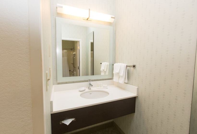 סוויטה, Springhill Suites Orlando Altamonte Springs/maitland