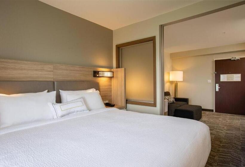 מיטת קינג בסוויטה, Springhill Suites Orlando Altamonte Springs/maitland