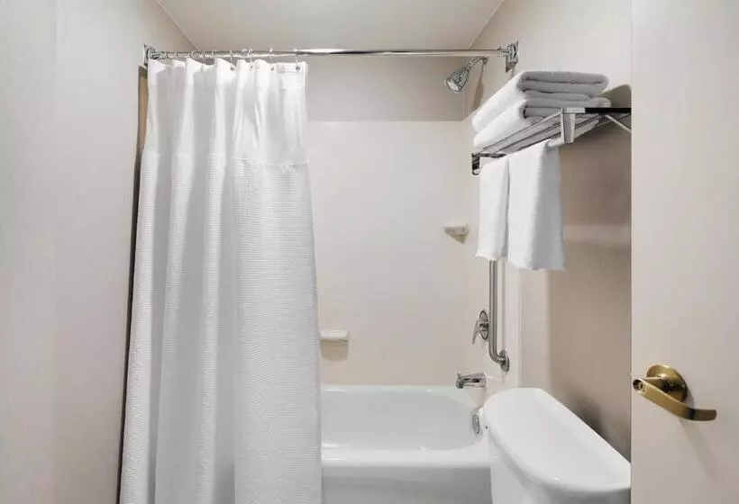キングサイズベッドのスイートルーム, Springhill Suites By Marriott Richmond North/glen Allen