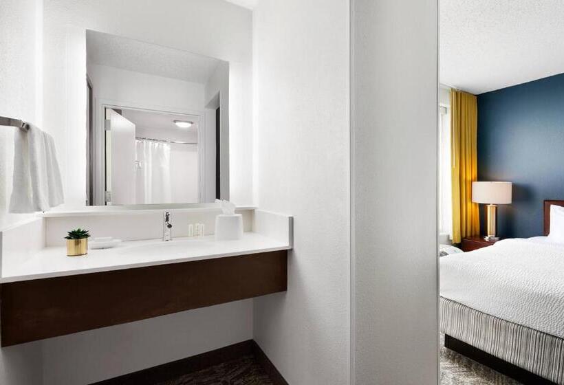 스위트 킹사이즈 침대, Springhill Suites By Marriott Richmond North/glen Allen