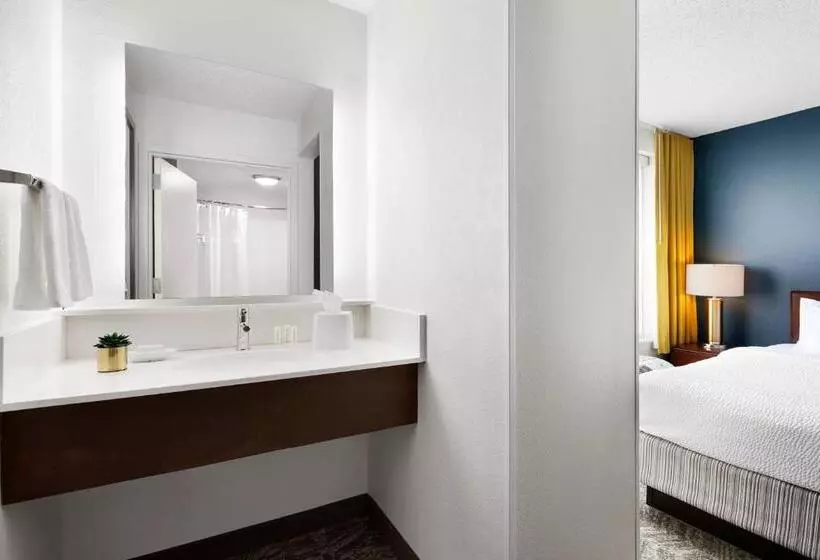 キングサイズベッドのスイートルーム, Springhill Suites By Marriott Richmond North/glen Allen