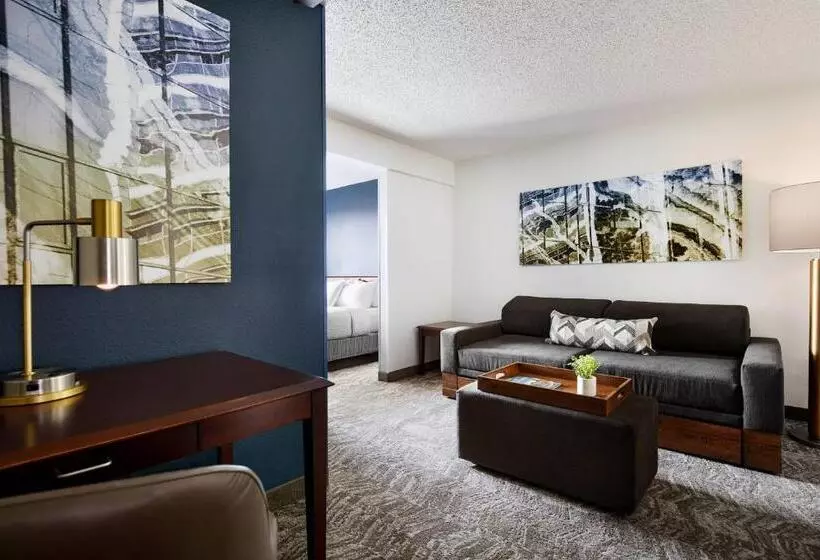 キングサイズベッドのスイートルーム, Springhill Suites By Marriott Richmond North/glen Allen
