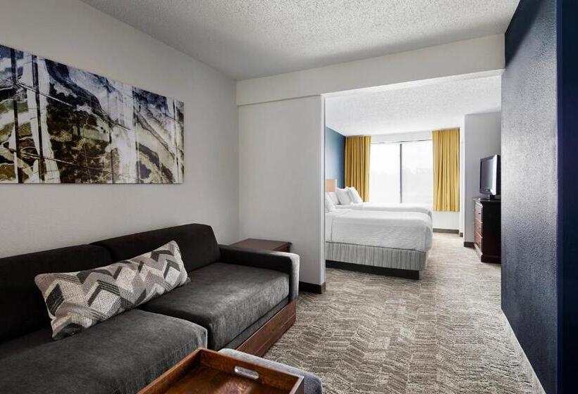 Люкс Адаптированный для Инвалидов, Springhill Suites By Marriott Richmond North/glen Allen