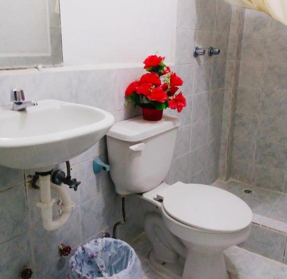 スタンダードルーム, Nápoles Emperador Ii