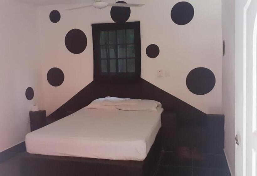 스탠다드 룸, Punto4