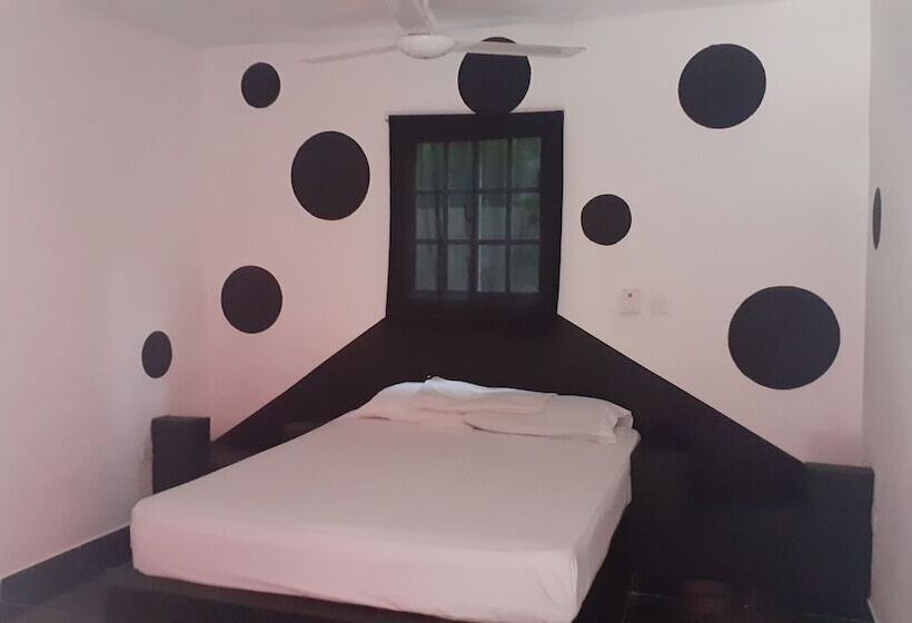 스탠다드 싱글 룸, Punto4