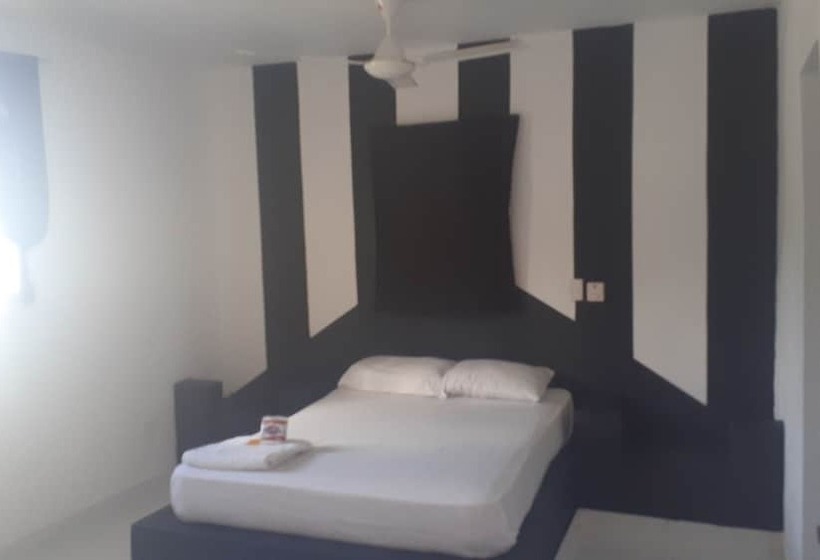 스탠다드 싱글 룸, Punto4