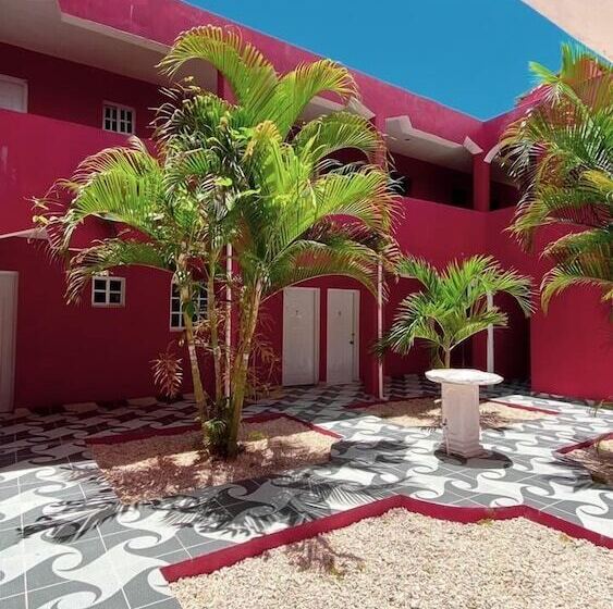 스탠다드 싱글 룸, Punto4