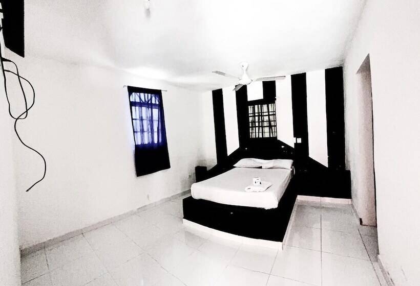 스탠다드 룸, Punto4