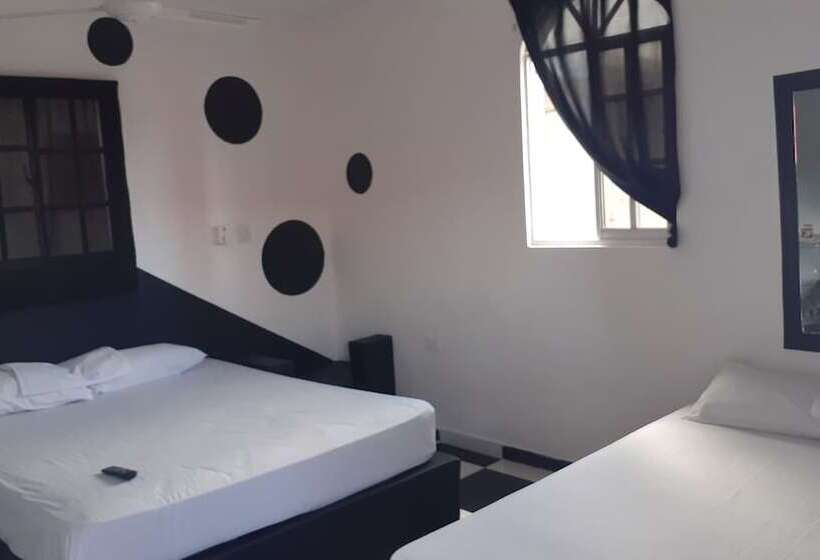 스탠다드 룸, Punto4