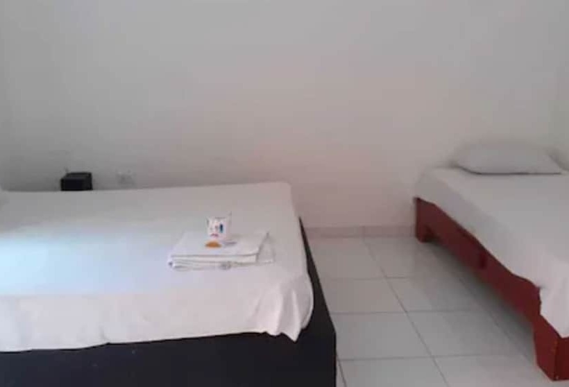 스탠다드 룸, Punto4