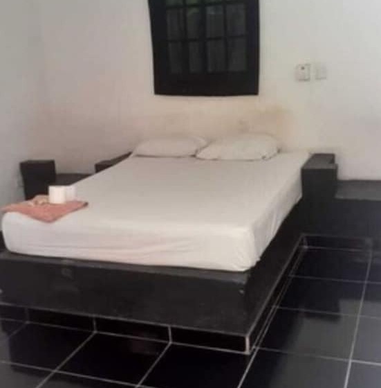 스탠다드 룸, Punto4