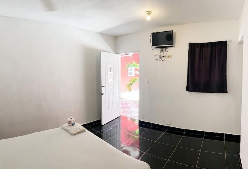 스탠다드 룸, Punto4