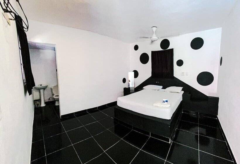 스탠다드 룸, Punto4