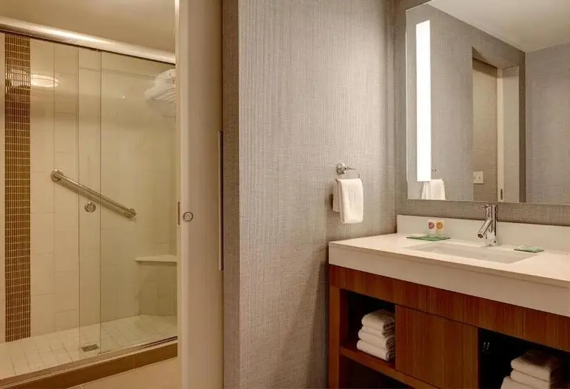 身障者適用スイートルーム, Hyatt Place National Harbor