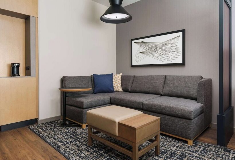 适合残疾人士使用的套间, Hyatt Place National Harbor