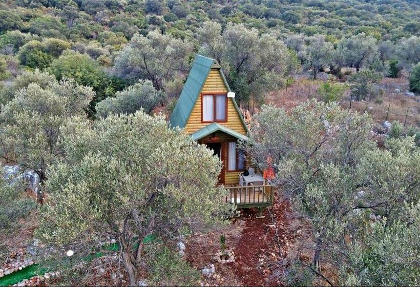 Bungalow Rodzinny, Kaş Hi̇story Li̇manağzi