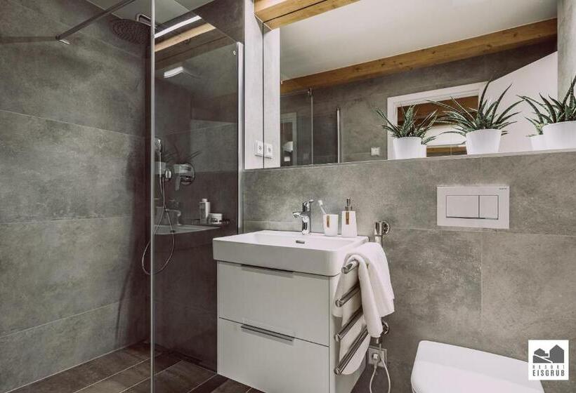 جناح مزود بتراس, Resort Lednice   Eisgrub