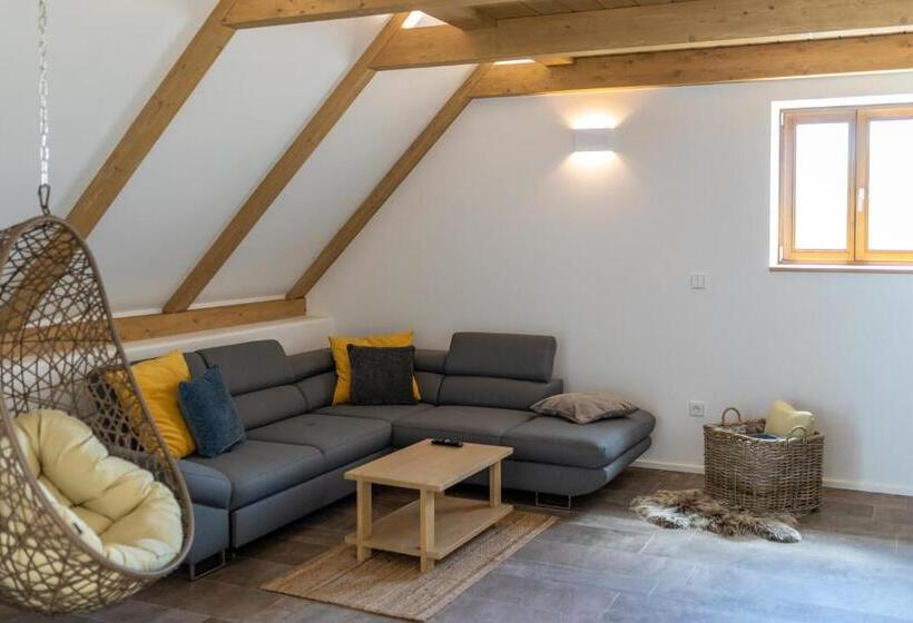 إستوديو قياسى مزودة بتراس, Resort Lednice   Eisgrub