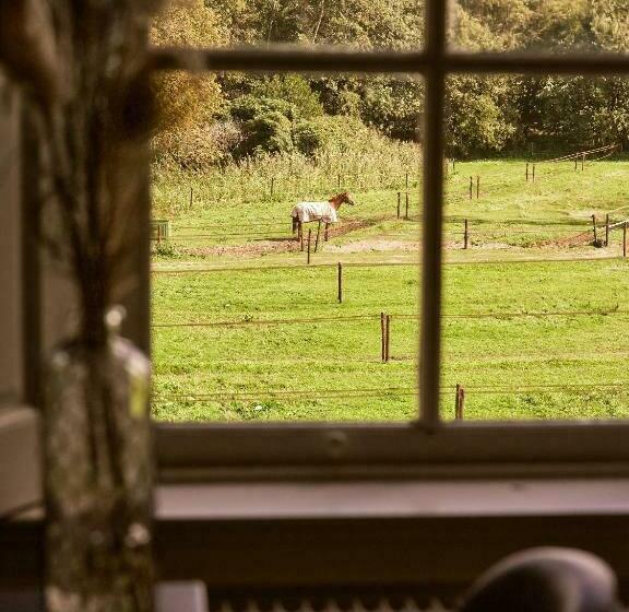 סוויטה אקזקיוטיב, Eco Hotel Plantage Rococo