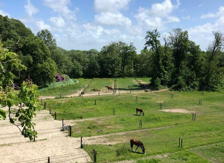 סוויטה אקזקיוטיב, Eco Hotel Plantage Rococo